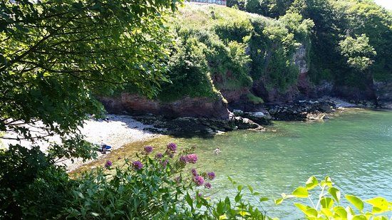 Fishcombe Cove