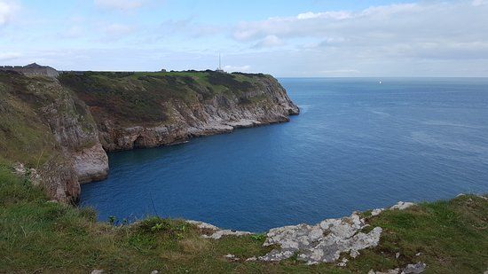 Berry Head National Nature Reserve